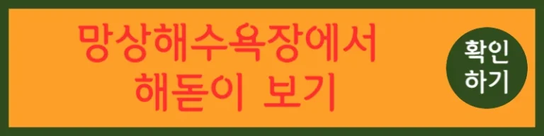 동해시 해돋이 명소 동해 일출 동해시 주차장 정보