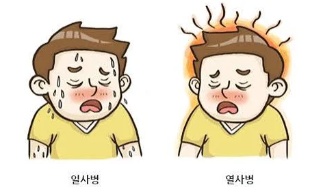 일사병인 줄 알았는데 열사병? 일사병 열사병 차이점과 응급 대처법 및 치명적인 초기 증상 총정리