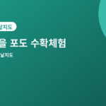 가을 포도 수확체험 - 가을 포도 수확체험 농장 추천 4곳, 직접 따서 맛보기 좋은 곳