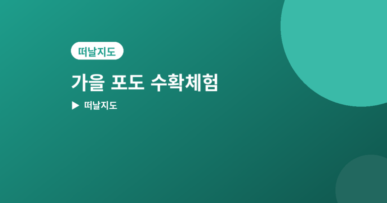 가을 포도 수확체험 - 가을 포도 수확체험 농장 추천 4곳, 직접 따서 맛보기 좋은 곳