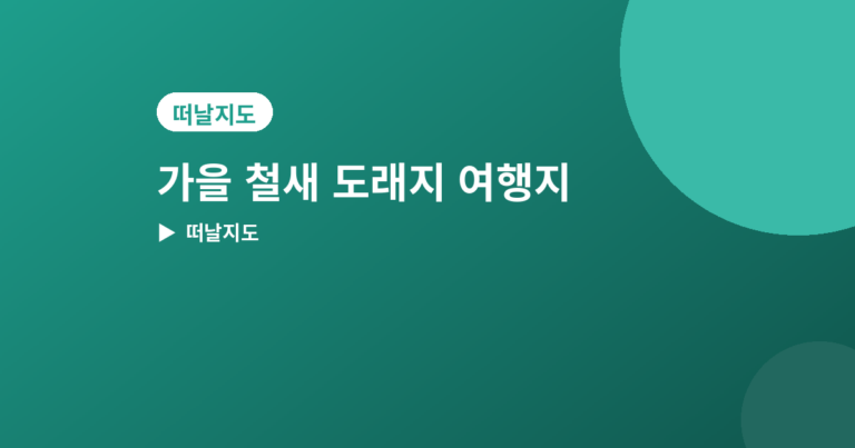 가을 철새 도래지 - 가을 철새 도래지 여행지 추천 4곳, 겨울 철새 보러 가기 좋은 곳