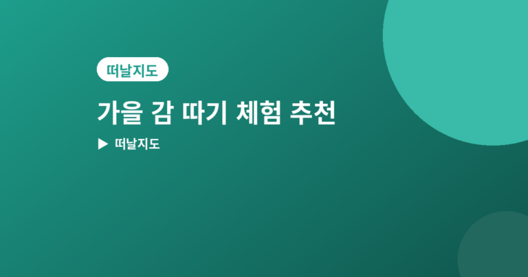 감 따기 체험 - 가을 감 따기 체험 농장 추천 4곳, 직접 따서 먹는 재미