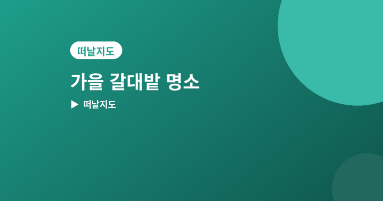 가을 갈대밭 - 가을 갈대밭 명소 추천 4곳, 바람에 흔들리는 풍경 보기 좋은 곳