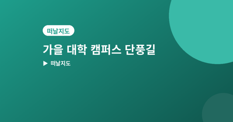 대학 캠퍼스 단풍길 - 가을 대학 캠퍼스 단풍길 추천 4곳, 산책하기 좋은 곳