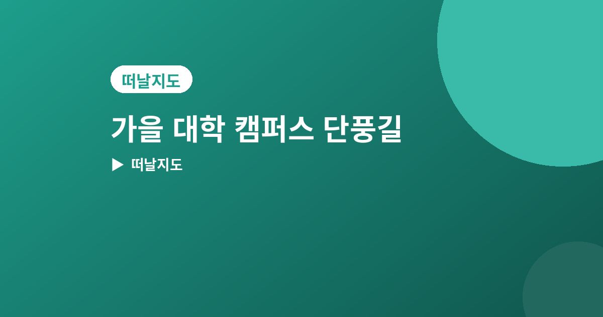 대학 캠퍼스 단풍길 - 가을 대학 캠퍼스 단풍길 추천 4곳, 산책하기 좋은 곳