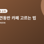 애견동반 카페 - 애견동반 카페 고르는 법, 확인해야 할 4가지 포인트
