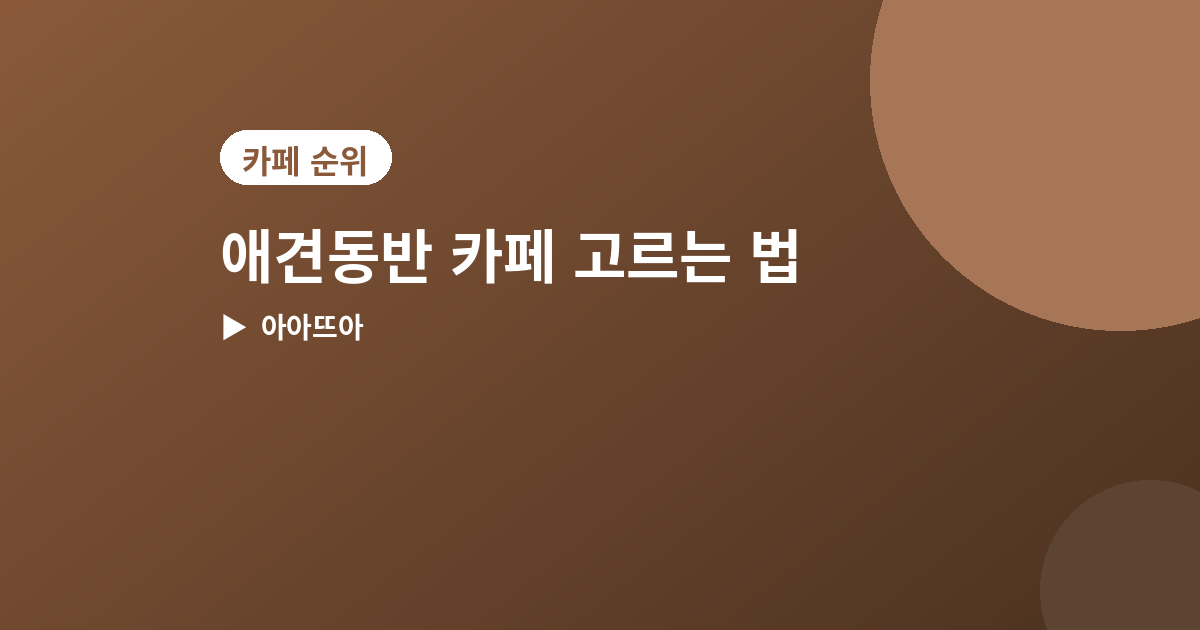애견동반 카페 - 애견동반 카페 고르는 법, 확인해야 할 4가지 포인트