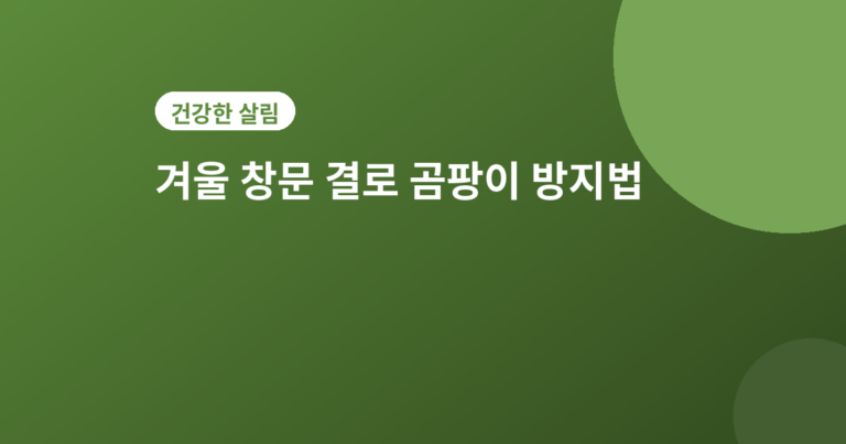 창문 결로 곰팡이 방지법 - 겨울철 창문 결로 곰팡이 방지법, 난방 시작 전 확인하세요
